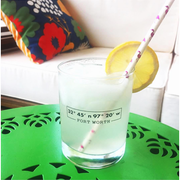 Fort Worth Coordinates Double Old Fashion Glass